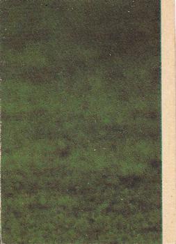 1977 Scanlens VFL #1 Robert McGhie Back